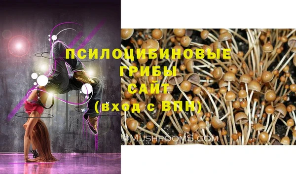 MESCALINE Гусиноозёрск