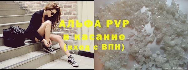 твердый Гусев