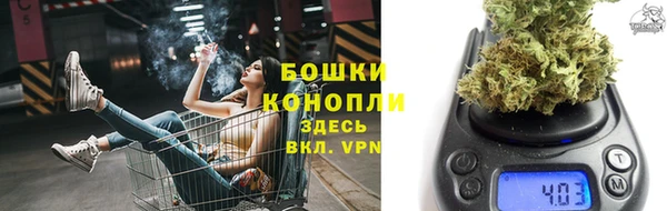 твердый Гусев