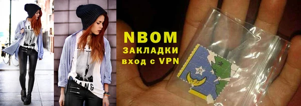 твердый Гусев