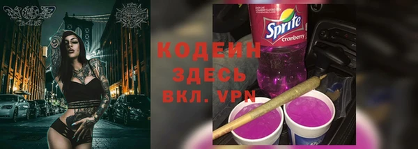 твердый Гусев