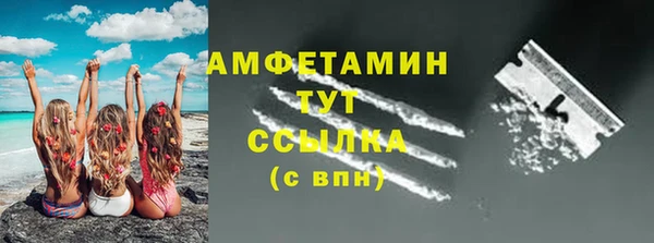 твердый Гусев