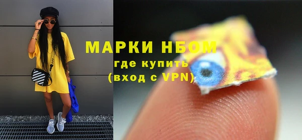 твердый Гусев