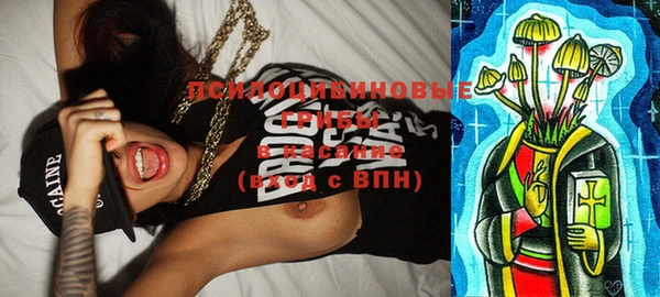 спиды Гусь-Хрустальный