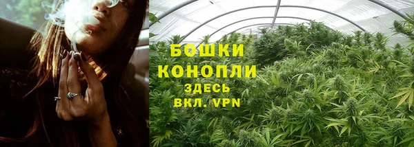 спиды Гусь-Хрустальный