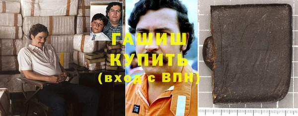 твердый Гусев