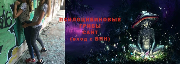 спиды Гусь-Хрустальный