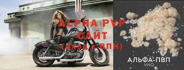 твердый Гусев