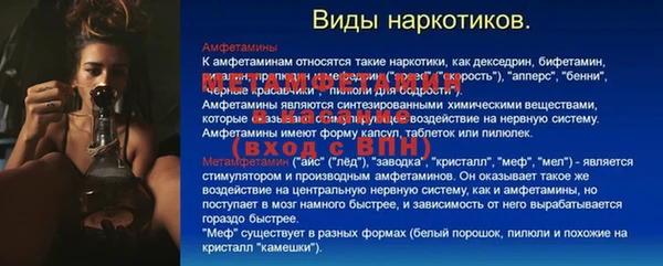 твердый Гусев