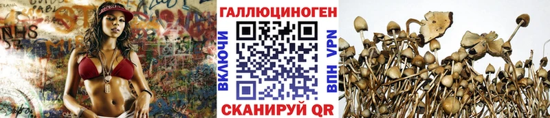 Псилоцибиновые грибы Psilocybine cubensis  Купить где  Красково 